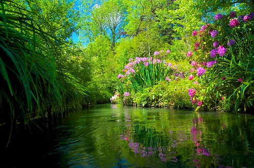 france flower water river europe colored vernon normandy giverny