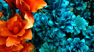 Nokia Lumia 1020 - Orange & Turquoise Fake Flowers @ The Range