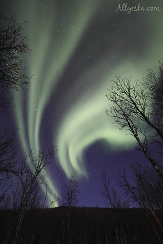 sky norway night norge september aurora northernlights borealis 2013
