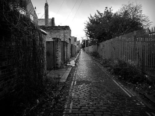 alley cobbled lane bushes carlisle