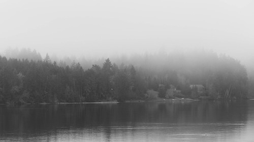 water fog landscape washington unitedstates vistasea