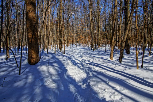 winter snow hiking dec snowshoeing snowshoes hudsonvalley winteractivity hardwoodtrees hardwoodforest dutchesscountynewyork stonykillfarm newyorkdec stonykillfarmenvironmentaleducationcenter sonyslta65v stonykillfarmtrail wappingernewyork