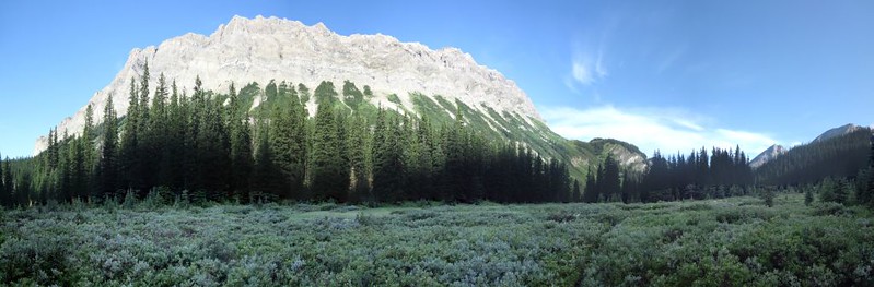 Panorama shot of Anthozoan Mountain from the Baker Creek Trail