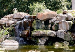 Chihuly @ Dallas Arboretum 2012
