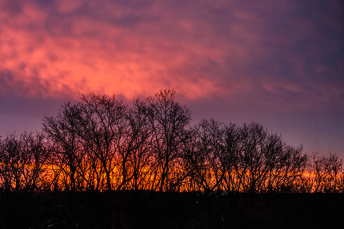 2014 clouds january sky sunrise waukesha wisconsin color colorful silhouette trees unitedstates
