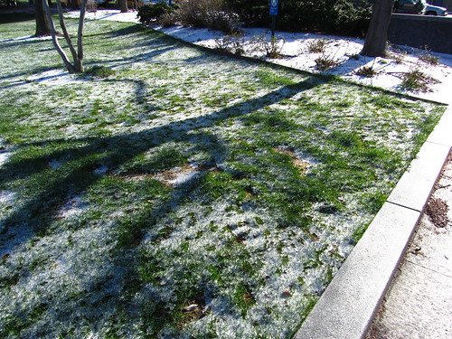 grass and snow