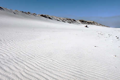 landscape nature sand dunes beach park ocean