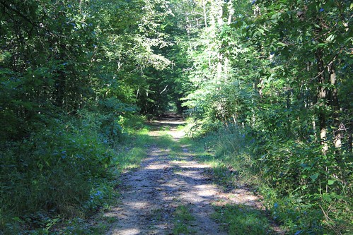 nature michigan trails railways hikingtrail vermontville eatoncounty