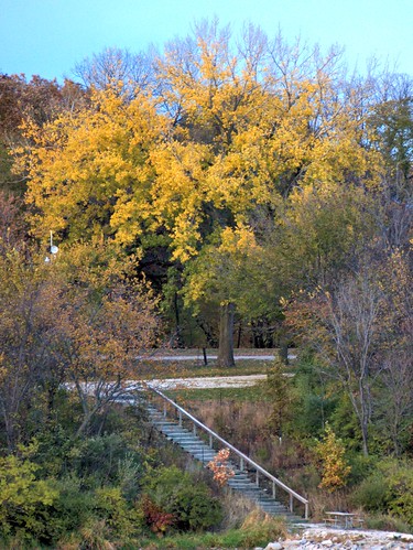 fall landscape golden fallcolors iowa fallfoliage gf1
