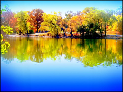 newyork reflection brooklyn image prospectpark dmitriyfomenko fall72013