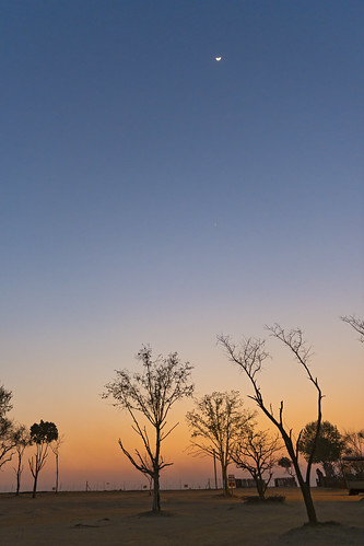 trees sunset landscape southafrica bush nikon colorful view sundown johannesburg lionpark d4