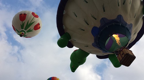 Dansville Festival of Balloons