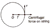 CBSE Class 11 Physics Notes : Projectile Motion and Circular Motion