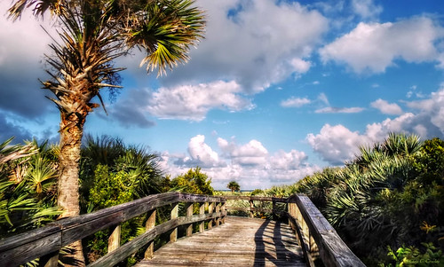 heavencamedown ponceinletflorida beachapproach walkway railing palmtree palmetto tropical florida daytonabeacharea clouds bluesky scenic nature outdoors park