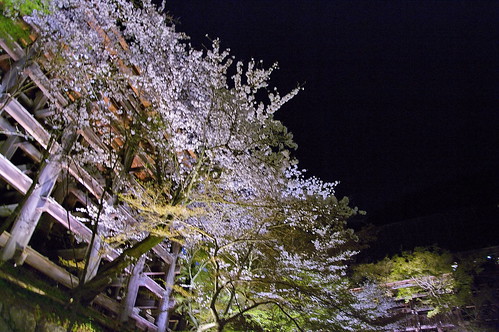 【写真】2013 桜 : 清水寺/2020-08-13/IMGP9395