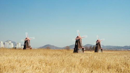 windmill zeiss 50mm day korea clear february planar 인천