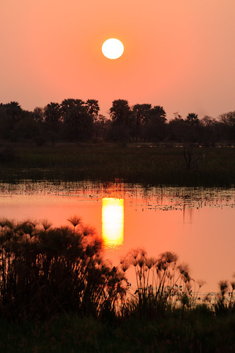sunset northwest botswana maun thamalakane