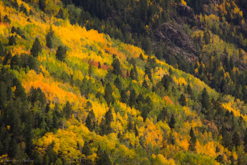 autumn fallcolors colorado aspen autumncolors mountain durango unitedstates us