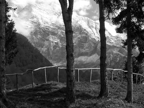 trees bw italy mountain alberi landscape montagna bianco nero paesaggio rawni valresia montecanin