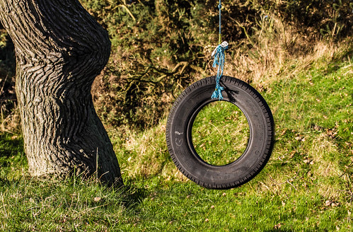 tree canon that lens outdoors photography eos prime countryside photo foto open with view angle artistic photos pics near air pic images swing have photographs photograph fotos 7d 28 60mm dslr which f28 contain tyre tyreswing sacriston oldtyre cwhatphotos nearsacriston