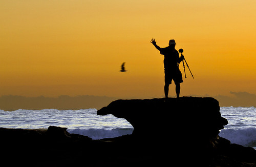 ocean sea water silhouette rock sunrise pom surf seagull cavesbeach