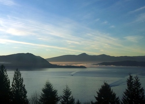 trees sea sky cloud weather fog islands evening coast boat wake view howesound fjord seatosky weatherphotography
