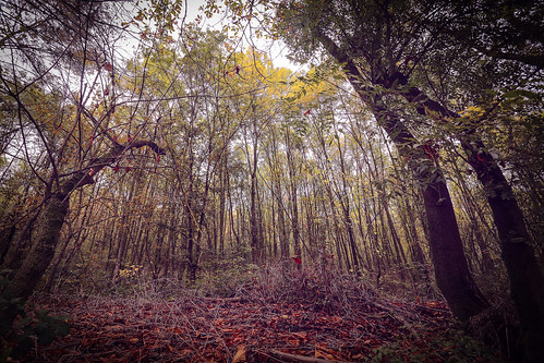 landscape autunno parcovillaghigi robertotaddeo