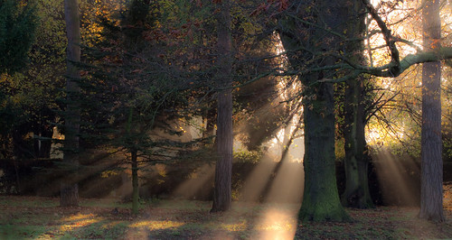 park nottingham autumn sun sunlight lake university rays shafts beeston highfields