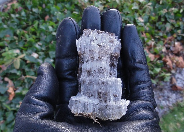 Moi gloved hand holding a chunk o' needle ice. I count at least four tiers - and it's nearly as long as my fingers. Huge!