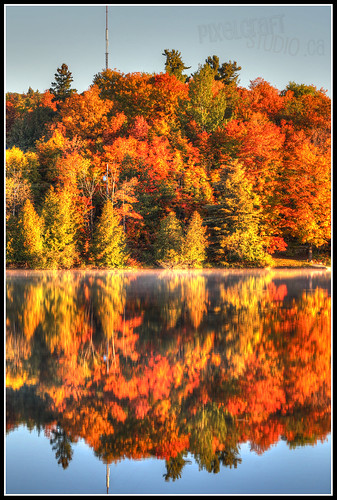 morning autumn fall leaves sunrise colours quebec hdr