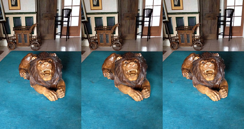 parallel stereophotograph crossview