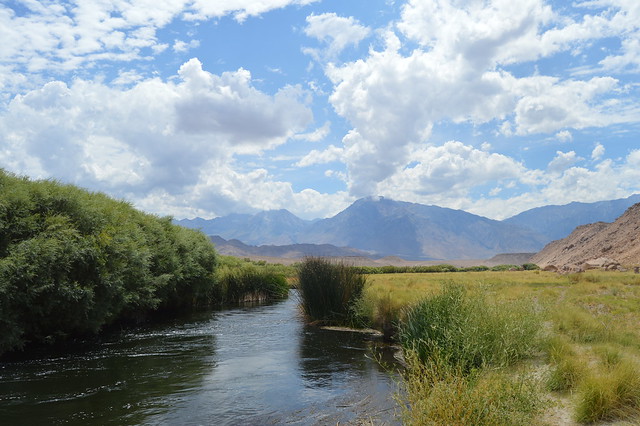 Lower Owens River