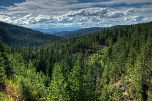 clouds rockies vista hdr selkirkmountains selkirks selkirkloop sprucetrees