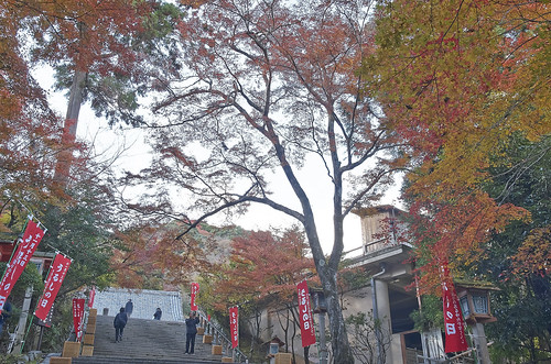 【写真】2013 紅葉 : 法輪寺/2021-10-26/IMGP4032