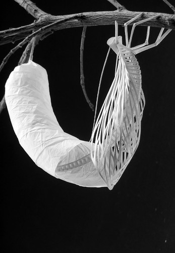 chrysalis-paper-sculpture