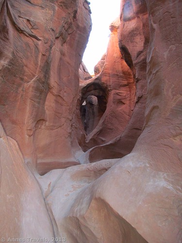 One of the first views of the arches in Peek-a-Boo Slot, Grand Staircase-Escalante National Monument, Utah