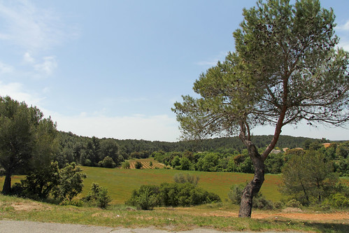 france tree june landscape europe champs paca fields provence arbre bouchesdurhône meteorry provençal lambesc provencealpescôtedazur 2013 d7n provencealpescã´tedazur lambesq
