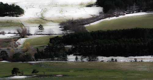 france alone landscape snow nature trees ngc nikon d5200 spring grass green water white moment view