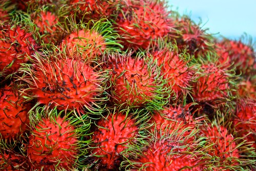 one of Lina's favorite new fruits! A very hairy lychee