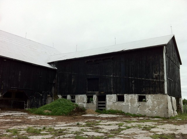 Century barn ontario