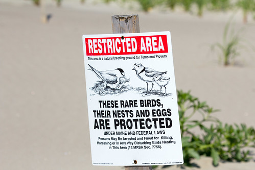 Sign at Popham Beach State Park
