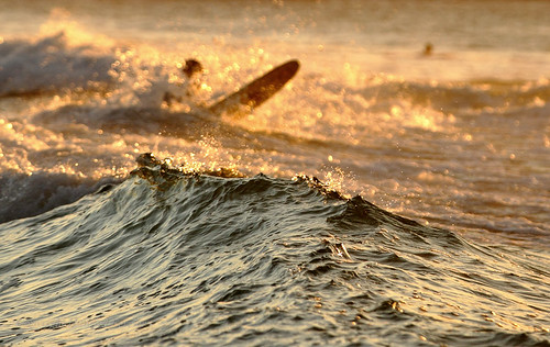 australia beach bokeh caloundra gold kingsbeach queensland sportleisure sunshinecoast surfboard surfing unfocused waves swell photography
