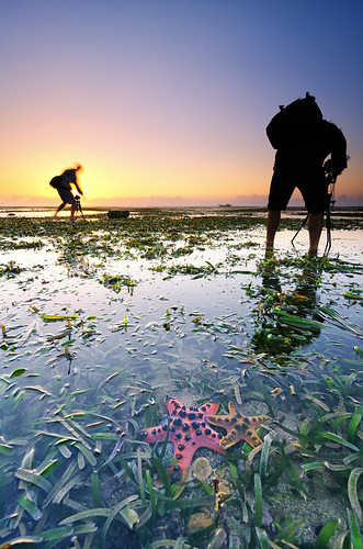 bali seascape seaweed beach sunrise indonesia landscape nikon soft photographer starfish hard tokina filter 09 lee nd pantai graduated seastar sanur waterscape landscaper gnd starfist 1116mm d7000 mertasari