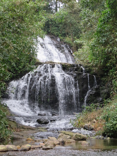 waterfall gavi periyarnationalpark