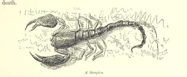 Image taken from page 175 of 'Morocco: its people and places ... Translated by C. Rollin-Tilton. With ... illustrations'