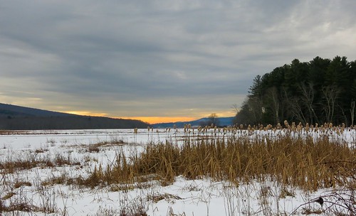 snow landscape day wetlands canong15 pwwinter