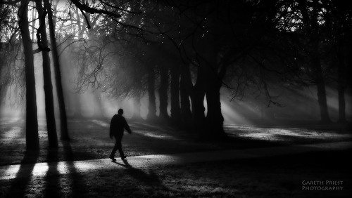 park new city uk morning trees winter light shadow portrait urban bw sun sunlight white mist inspiration man black cold art nature beautiful weather silhouette fog wales contrast sunrise dark walking landscape dawn town nikon experimental mood alone natural emotion steps creative january cardiff highcontrast surreal atmosphere scene eerie haunted creepy spooky shade soul ethereal figure mysterious horror ambient mystical lonely feeling concept innercity spiritual shape sunrays tones sunbeams butepark ambiance streetportait d5100