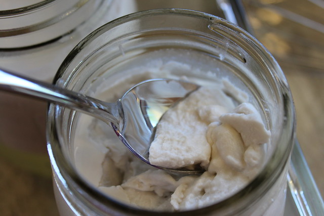 After 4-6 Hours in Fridge, Coconut Yogurt will Be Firm