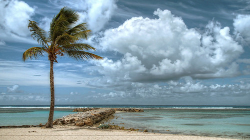 sony plage hdr palmier guadeloupe caraibes tonemapping sonyalpha