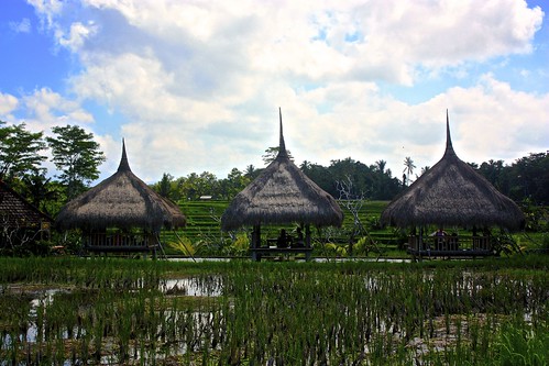 resting huts on the rice terraces